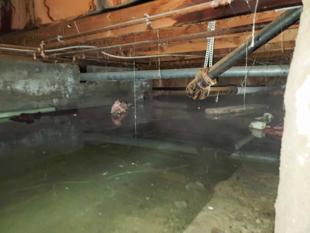 Brier, WA Water damage restoration Pros