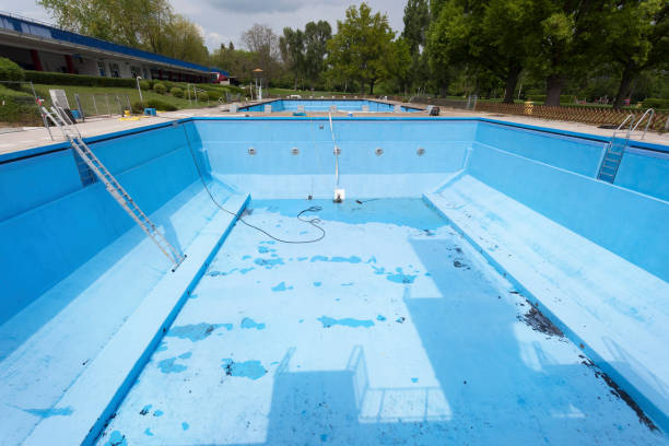 Best Local water damage restoration  in Brier, WA