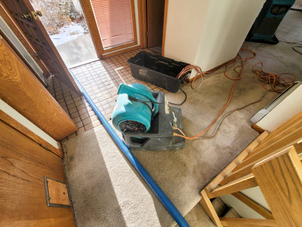 Best Water damage restoration near me  in Brier, WA