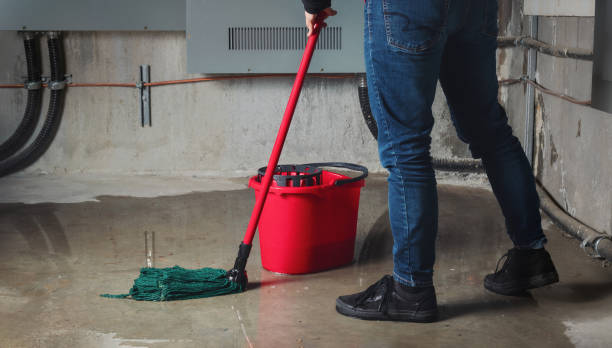 Best Sewage cleanup and water damage restoration  in Brier, WA