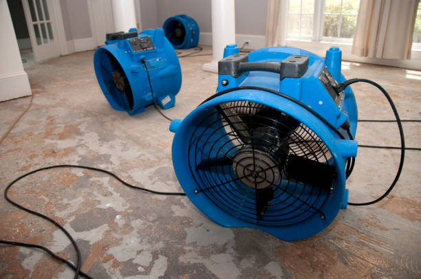 Best Ceiling water damage repair  in Brier, WA