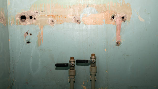 Brier, WA Water damage restoration Company