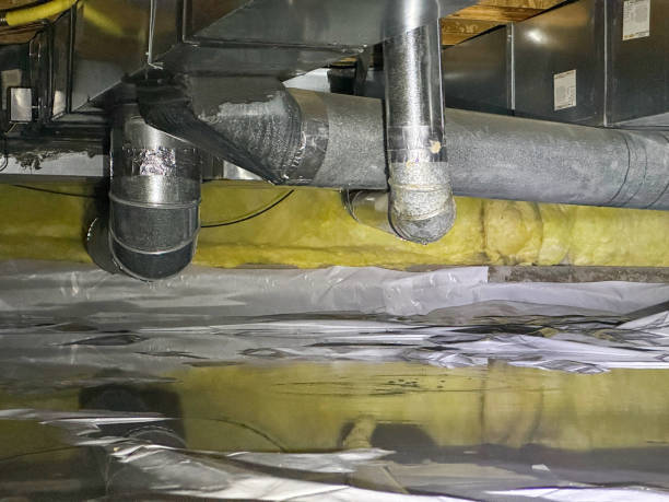 Best Flood restoration services  in Brier, WA